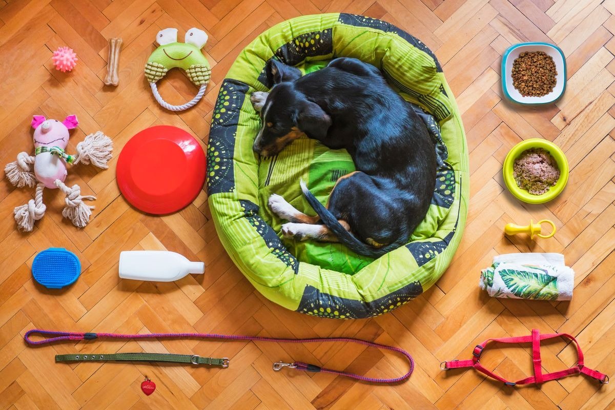 Servicio: Tienda de mascotas