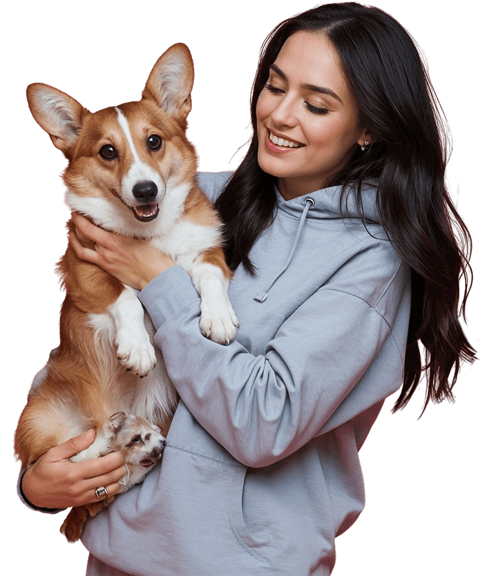 Cachorro corgi en brazos de su tutora